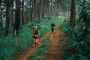 BIB: 
                            <button type="button" onclick="openModal(25655289)" class="btn btn-primary btn-sm float-right btn-popup" data-toggle="modal" data-target=".modal-high-quality">
                        <i class="fas fa-shopping-cart"></i> Add to Cart
                    </button>
                                            <button type="button" onclick="isThisMe(25655289, true)" class="btn btn-success btn-sm float-right btn-popup btn-isme hidden" data-toggle="tooltip" data-placement="bottom" title="นี่คือรูปของคุณใช่ไหม คลิกที่นี่เพื่อเอาเข้าอัลบั้ม">
                        <i class="fas fa-plus"></i> Add to album
                    </button>
                    <button type="button" onclick="isThisMe(25655289, false)" class="btn btn-warning btn-sm float-right btn-popup btn-isnotme hidden">
                        <i class="fas fa-ban"></i> Remove from album
                    </button>